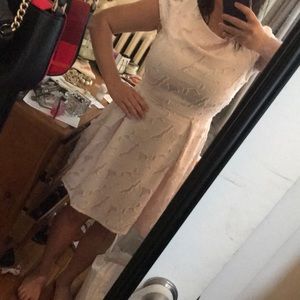 Embroidered blush a line dress